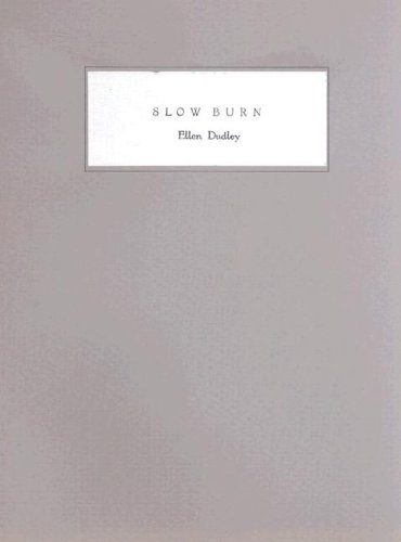Imagen de archivo de Slow Burn (Provincetown Poets) a la venta por Yes Books