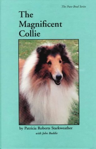 Stock image for The Magnificent Collie (The Pure-Bred Series) for sale by Your Online Bookstore