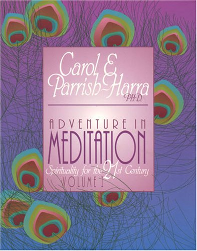 Imagen de archivo de Adventure in Meditation : Spirituality for the 21st Century: Vol. I a la venta por HPB Inc.