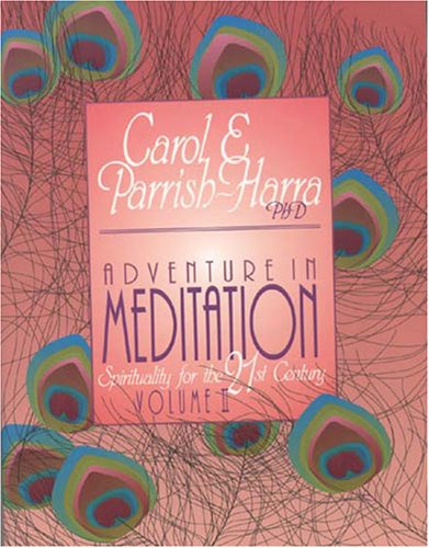 Imagen de archivo de Adventure in Meditation : Spirituality for the 21st Century: Vol II a la venta por Gulf Coast Books