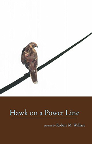 Stock image for Hawk on a Power Line for sale by ThriftBooks-Atlanta