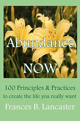 Stock image for Abundance Now: 100 Principles and Practices to create the life you really want for sale by Lucky's Textbooks