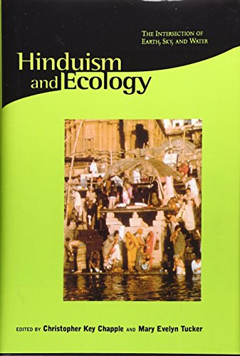 Imagen de archivo de Hinduism and Ecology: The Intersection of Earth, Sky, and Water (Religions of the World and Ecology) a la venta por HPB-Ruby
