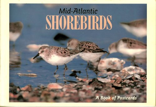 9780945582359: Mid-Atlantic Shorebirds: A Book of Postcards