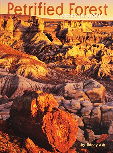 Petrified Forest: A Story in Stone