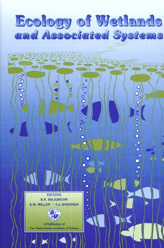 9780945809142: Ecology of Wetlands and Associated Systems