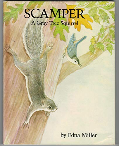 Stock image for Scamper: a Gray Tree Squirrel for sale by BookHolders