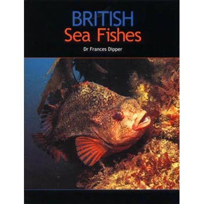Stock image for British Sea Fishes for sale by WorldofBooks