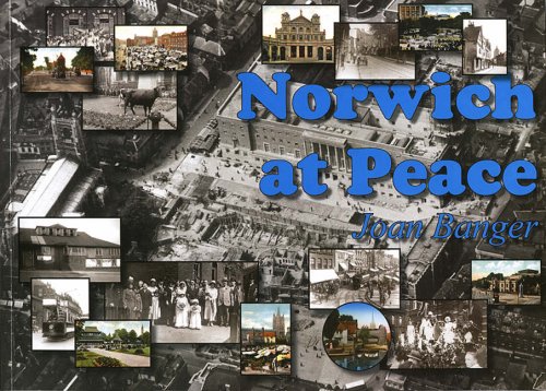 Stock image for Norwich at Peace for sale by WorldofBooks