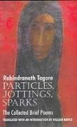9780946162666: Particles, Jottings, Sparks: The Collected Brief Poems