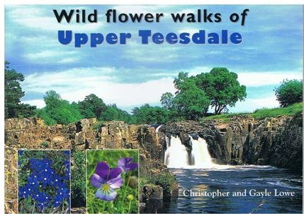 Imagen de archivo de Wild Flower Walks of Upper Teesdale a la venta por WorldofBooks