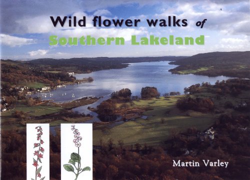 Stock image for Wild Flower Walks of Southern Lakeland for sale by MusicMagpie