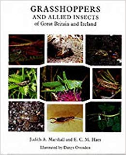 9780946589135: Grasshoppers and Allied Insects of Great Britain and Ireland