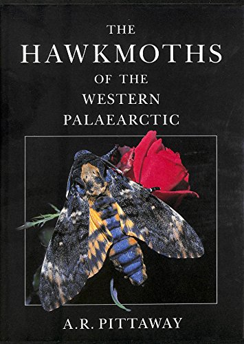 Beispielbild fr Hawkmoths of the Western Palaearctic zum Verkauf von Reuseabook