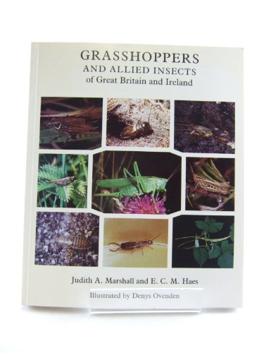 Beispielbild fr Grasshoppers and Allied Insects of Great Britain and Ireland zum Verkauf von WorldofBooks