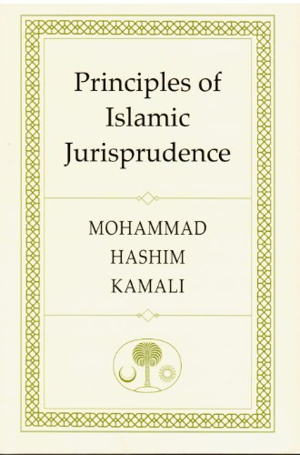 Stock image for Principles of Islamic Jurisprudence for sale by Tall Stories BA