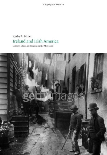 Imagen de archivo de Ireland and Irish America a la venta por Sutton Books