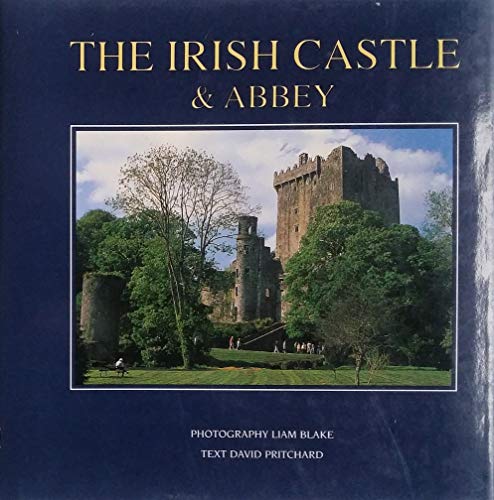 Beispielbild fr Irish Castle and Abbey zum Verkauf von HPB-Emerald