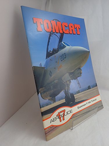 Beispielbild fr Aeroguide 17 - Grumman F-14A Tomcat zum Verkauf von MusicMagpie