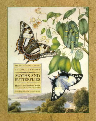 Historical Drawings of Moths and Butterflies