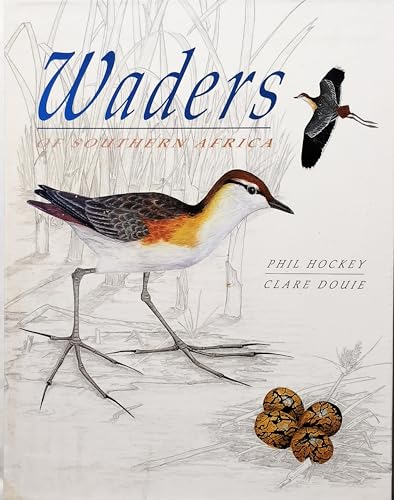 9780947430450: Waders of Southern Africa