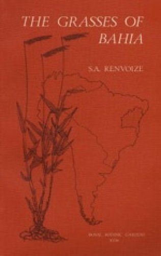 Beispielbild fr The Grasses of Bahia zum Verkauf von Summerfield Books BA