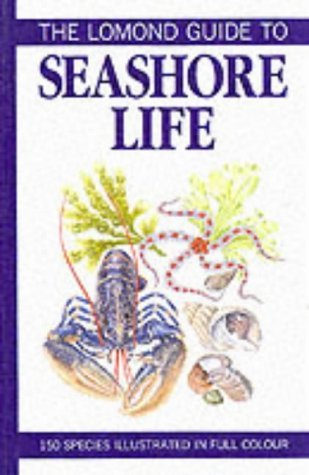 Imagen de archivo de The lomond guide to seashore Life a la venta por PEND BOOKS