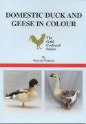 Beispielbild fr Domestic Duck and Geese in Colour (Gold Cockerel Series) zum Verkauf von WorldofBooks