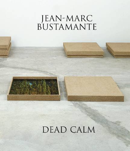 9780947912819: Jean Marc Bustamante - Dead Calm