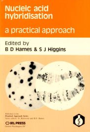 Beispielbild fr Nucleic Acid Hybridization a Practical Approach zum Verkauf von Ammareal