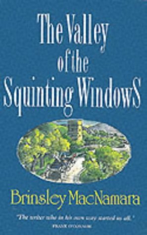 Stock image for The Valley of the Squinting Windows for sale by Idaho Youth Ranch Books