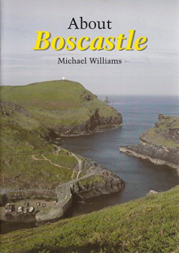 Beispielbild fr About Boscastle zum Verkauf von medimops