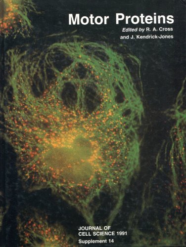 9780948601293: Motor Proteins: A Volume Based on the EMBO Workshop, Cambridge, September 1990 (Journal of Cell Science Supplement)