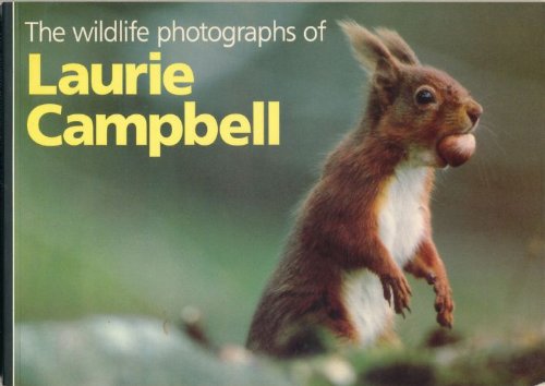 Imagen de archivo de The Wildlife Photographs of Laurie Campbell a la venta por Better World Books