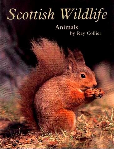 Beispielbild fr Scottish Wildlife: Animals zum Verkauf von Books From California