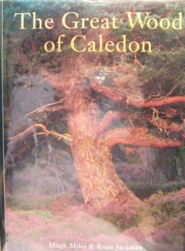 Stock image for The Great Wood of Caledon for sale by AwesomeBooks