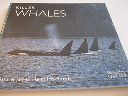 Beispielbild fr Killer Whales (World Life Library) zum Verkauf von WorldofBooks