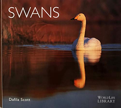 Stock image for Swans (World Life Library) for sale by WorldofBooks