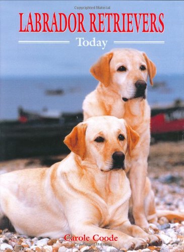 Beispielbild fr Labrador Retrievers Today (Book of the Breed S) zum Verkauf von WorldofBooks