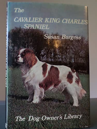 Cavalier King Charles Spaniel