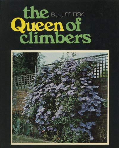 9780950352800: Queen of Climbers