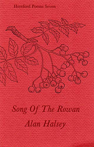 Imagen de archivo de Song of the Rowan a la venta por The Poetry Bookshop : Hay-on-Wye