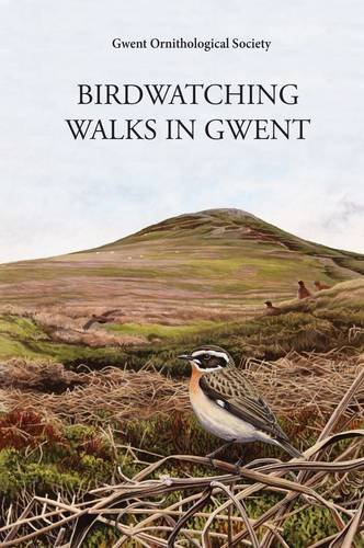 Beispielbild fr Birdwatching Walks in Gwent zum Verkauf von Reuseabook