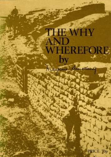 Stock image for Why and Wherefore: Hadrian's Wall for sale by Lady Lisa's Bookshop