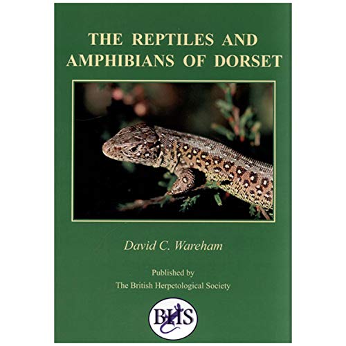 Beispielbild fr The Reptiles and Amphibians of Dorset zum Verkauf von WorldofBooks