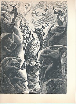 Imagen de archivo de Margaret Bruce Wells - The Complete Wood-Engravings And Linocuts a la venta por Clarendon Books P.B.F.A.