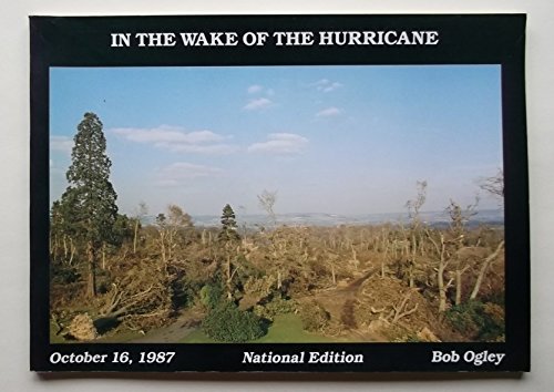 Imagen de archivo de In the wake of the hurricane a la venta por HPB-Emerald
