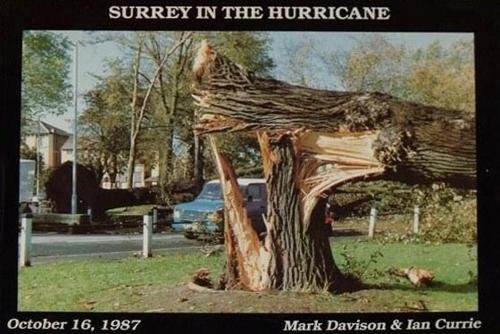 9780951301920: Surrey in the Hurricane: Great Storm of October 16th 1987 1987 (Great Storm of 1987 in Southern England)