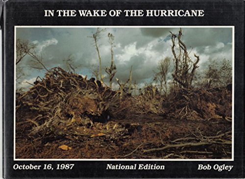 Stock image for In the Wake of the Hurricane for sale by WorldofBooks