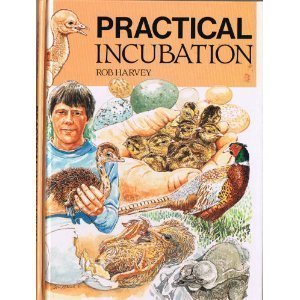 Stock image for Practical Incubation for sale by ThriftBooks-Dallas